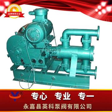 電（diàn）動高（gāo）溫往複泵